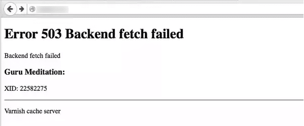 error 503 backend fetch failed