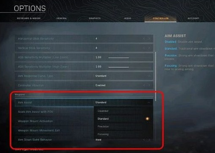 aim assistance settings in call of duty