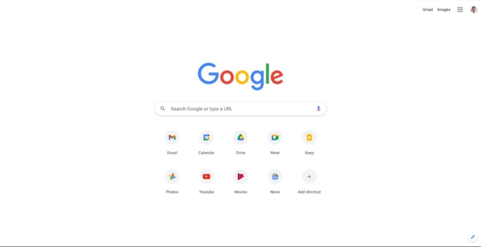 google browser