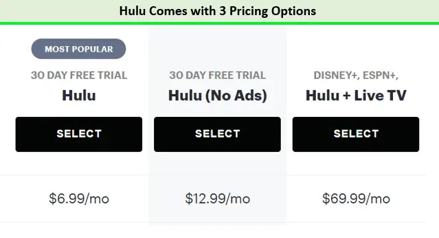 hulu pricing option