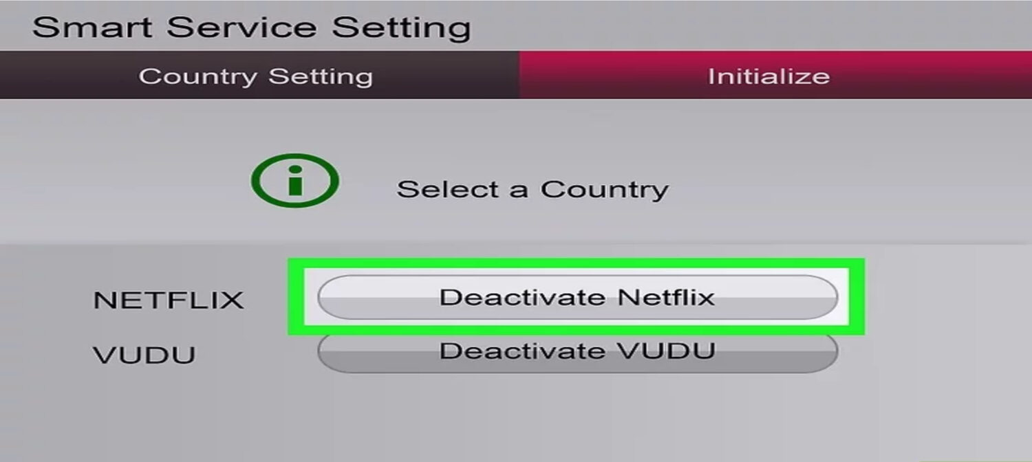 deactivate netflix