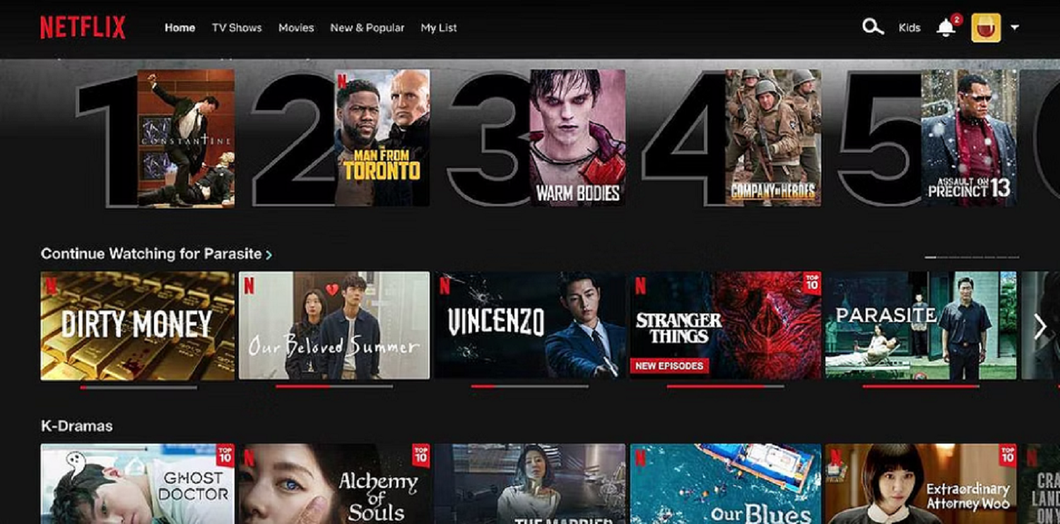 the netflix library